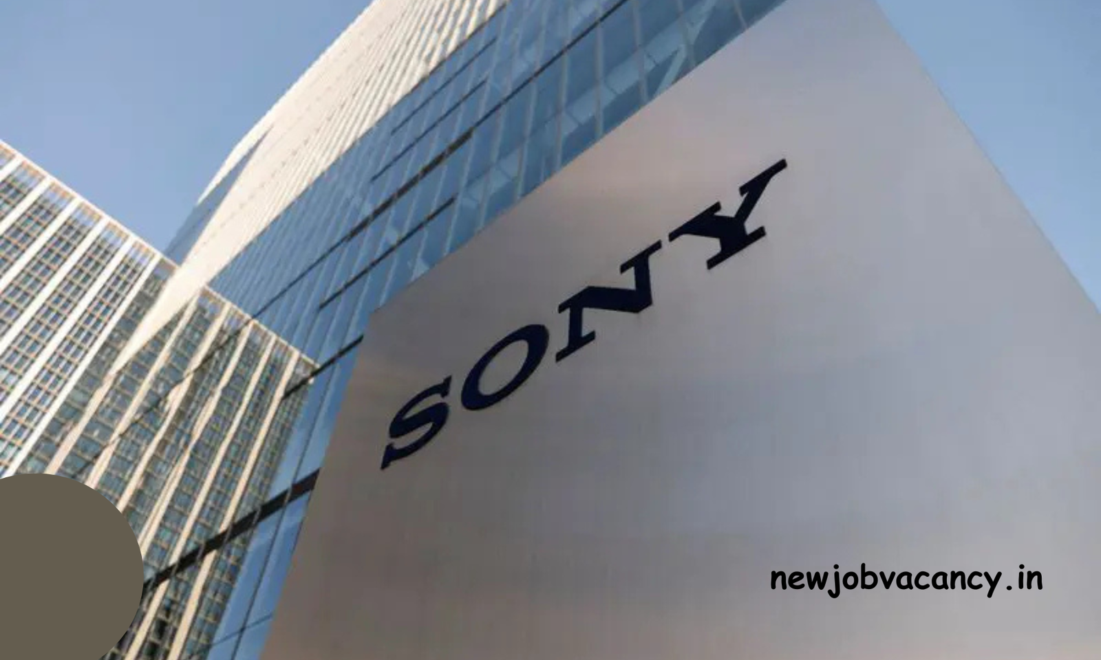 newjobvacancy.in-43 Exclusive: Sony in Talks to Buy Media Powerhouse Behind 'Elden Ring'